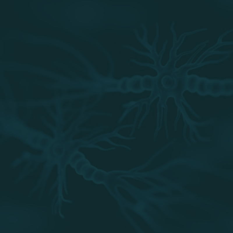 O que é o Sistema Endocanabinoide e como ele regula nosso organismo?