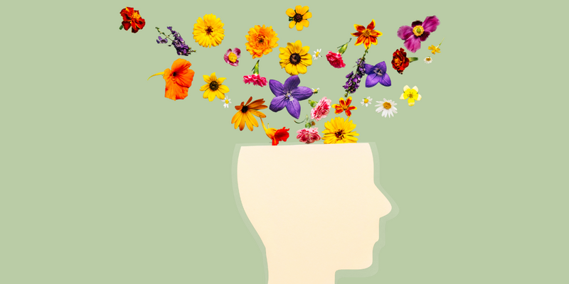 Setembro Amarelo e Estilo de Vida